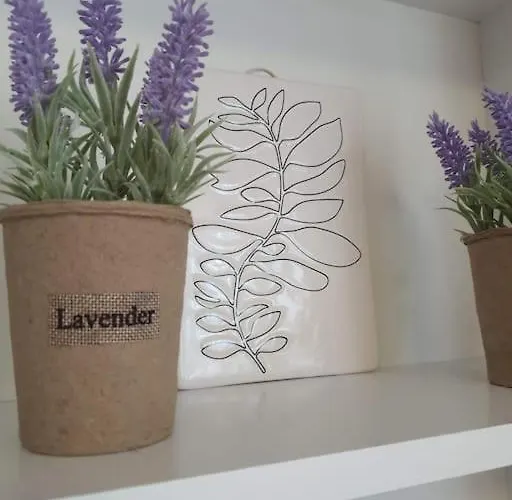 апартамент в подножието на стария град 公寓 普罗夫迪夫